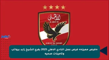 «فرص مميزة» فرص عمل النادي الأهلي 2025 بفرع الشيخ زايد برواتب وتأمينات صحية